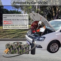 Pompa Pcp Pcp12v 300bar 4500psi 30MPa12v DC atau 110v AC Kompresor Udara Pcp Bebas Oli untuk Kendaraan Listrik Umum