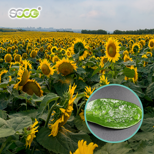 Водный гидрогель для сельского хозяйства, для посадки, используют суперабсорбирующий полимерный сок из полиакрилата калия - Product Image 5