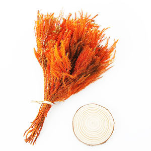 Bunga Dekorasi Alami Musim Panas Bunga Hias Klub Tumbuhan Diawetkan untuk Ornamen Natal - Product Image 4