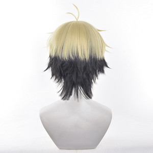 Venta al por mayor enlace haga clic en Cosplay 35cm <span class=keywords><strong>corto</strong></span> <span class=keywords><strong>rubio</strong></span> <span class=keywords><strong>y</strong></span> Negro mixto Xiafei peluca sintética Anime resistente al calor pelo Cosplay peluca - Product Image 5