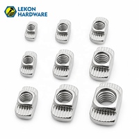 Écrous en T LEKON européens en acier inoxydable de 20 à 45 mm, M3 M4 M5 M6 M8, métriques, pour extrusions d'aluminium, en stock