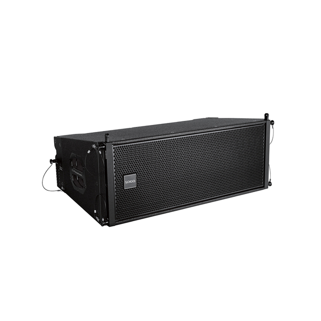 Professional 10-Inch Dual Subwoofer 700W 8 Ohms Passive Line Array Speakers for Outdoor Weddings Concerts Shows