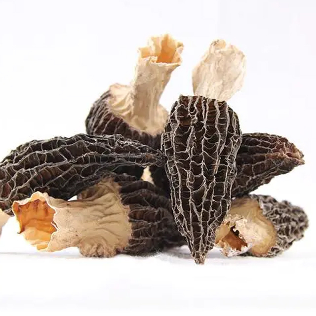 Best Selling AD Dried Morel Mushroom Natural Stem Wild Morchella Conica Bulk Packaging