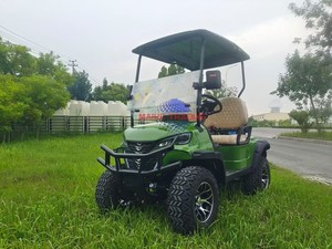 Voiturette de golf électrique 48V 60V 2 places, édition pneus surélevés, UTV utilitaire de golf, à vendre - Product Image 2
