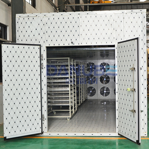 Equipo de Secado de Frutas de Alta Eficiencia, Máquina de Secado de Manzanas, Albaricoques, Melocotones y Ciruelas, Horno de Secado de Frutas - Product Image 5