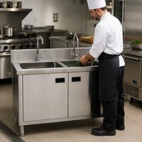 Évier commercial en acier inoxydable pour usage domestique, avec meuble sous-évier, double bac, taille personnalisable, revêtement autonettoyant