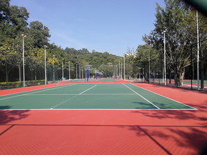 Suelo <span class=keywords><strong>de</strong></span> cancha deportiva <span class=keywords><strong>de</strong></span> <span class=keywords><strong>tenis</strong></span> Pu <span class=keywords><strong>de</strong></span> silicona atlética colorida <span class=keywords><strong>de</strong></span> plástico a precio <span class=keywords><strong>de</strong></span> fábrica <span class=keywords><strong>de</strong></span> buena calidad - Product Image 5
