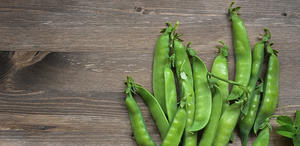 100% חלבון אפונה כיתה חלבון אפונה לבודד תמצית צמח מקור מצוין של תזונה - Product Image 3