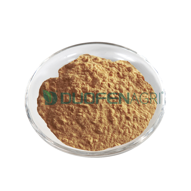 Wholesale Seaweed Powder Fertilizer for Hydroponics & Crops image 4