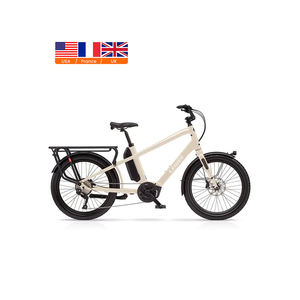 Съемный аккумулятор хорошего качества, 250 Вт, 36 В, литиевая батарея 24 дюйма, 2 колеса, Электрический грузовой велосипед для продажи - Product Image 1