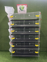 Nouvelle Cage Commerciale pour Cailles en Acier Galvanisé, Conception en H, Longueur 1,2 m, Automatisée, 6 Niveaux, Capacité 360, pour Élevage en Batterie, avec Abreuvement