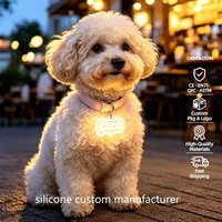 Tag ID Anjing LED Silikon Custom, Tag Nama Hewan Peliharaan Terukir Pribadi yang Menyala, Tag Kalung Anak Anjing Tahan Air Bercahaya untuk Keamanan di Malam Hari