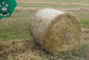 Empacadora de rollos de alta calidad, cosechadora de, maquinaria de cosecha, máquina agrícola, empacadora de rollos agrícolas - Product Image 6