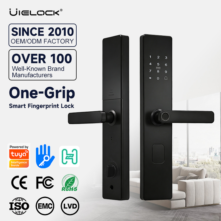 Smart Card Door Lock with Handle Wireless Keyless Entry for Wood Front Door Tuya App Control Grade C Security · image 3