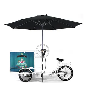 Bici da gelato di moda con congelatore ghiacciolo carrello distributore di alimenti bicicletta elettrica Cargo triciclo cargo Ebike per USA