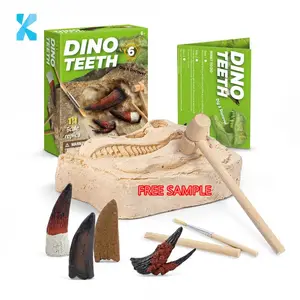 儿童教育学习游戏挖掘和发现塑料恐龙牙齿挖掘工具包化石模型收集玩具