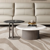 Ensemble de tables basses gigognes modernes et minimalistes pour salon, gain de place, 2 pièces, rondes, en placage de marbre