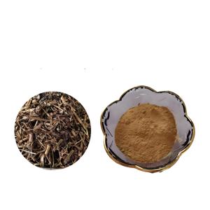 Экстракт чистотела, экстракт чистотела, экстракт герба хелидони, экстракт ласточки, премиум травяной источник - Product Image 2