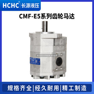 Moteur à engrenages à fréquence variable Hefei Changyuan CMF-E520E532E540E545E550-AFPLAFPSAFPR Série - Product Image 4