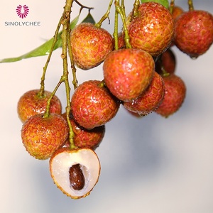 Chất Lượng Cao Cấp Nhập Khẩu Lớp 1 Tươi Vải Trái Cây Nhiệt đới Chất Lượng Lựa Chọn Cho Tiêu thụ Vải - Product Image 5