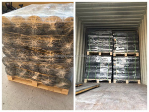 Cubierta de tierra tejida PP ecológica/Estera de malezas/Barrera para matar malezas - Product Image 5