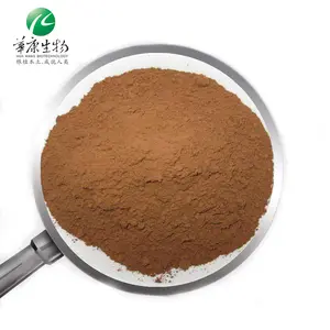 Bulk supply Echinacea Purpurea Extract 4% polyphenol 2% Chicoric acid