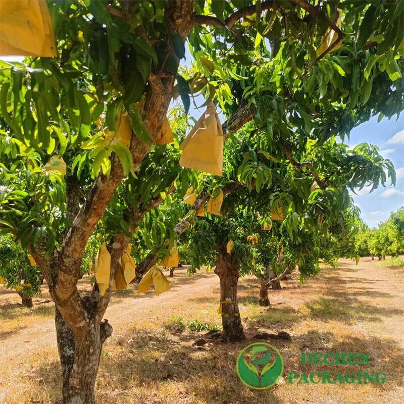 Mango Fruit Cover Bags