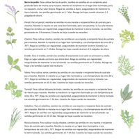 Kit de plantation d'herbes aromatiques biologiques de haute qualité, 14 sachets de graines d'herbes aromatiques biologiques, boîte incluse, pour plantation en intérieur