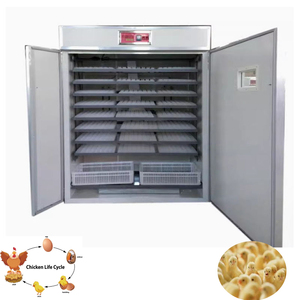 Hiệu quả cao thương mại Trung Quốc thực hiện gia cầm công suất lớn lồng ấp trứng Nhà cung cấp - Product Image 6