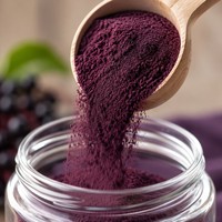Natuurlijk Wild Vlierbessen Fruitpoeder FVP-37 Voedingskwaliteit Anthocyanine Instant Wateroplosbaar Sappoeder 1kg Trommel/Fles Verpakking