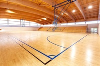 Balle de basket en bois pour tennis de table Planches de plancher d'intérieur en érable dur Piste de danse de yoga