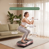 Tragbares Fitnessgerät für zu Hause, Schlankheits-Vibrationsplatte, Massagegerät, Körpertrainingsgerät, Stahlkonstruktion, 1-999 Geschwindigkeitsstufen