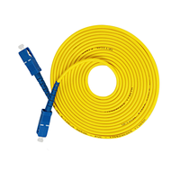 Kabel Patch Optik Single Mode Simplex SC-SC Jumper 3m untuk Komunikasi FTTH