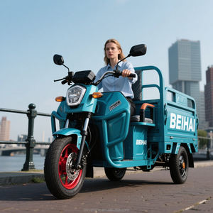 Triciclo Elettrico da Carico per Adulti a 3 Ruote Scooter Elettrico Tricicli <span class=keywords><strong>Tuk</strong></span> <span class=keywords><strong>Tuk</strong></span> Veicoli Elettrici Tipo Taxi - Product Image 1