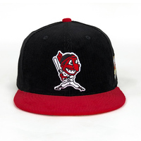 Logotipo personalizado en blanco ajustado negro 6 paneles impresiones 3D bordado PANA plano Bill béisbol Snapback gorra para hombres