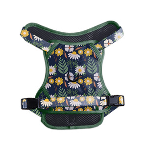 Köpek Tasması 6 Parçalı Set Spor Moda Rahat Nefes Alabilen Evcil Hayvan Malzemeleri - Product Image 4