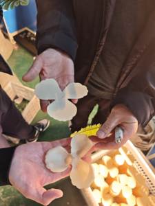 Vente en Gros Rose Blanche 3D Mariage Rose Décoration Personnalisée Fleurs Artificielles Panneaux Muraux - Product Image 6