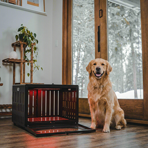 Pannello per Terapia a Luce Rossa Veterinaria GLPE 100W per Recupero e Sollievo dal Dolore di Cani e Gatti, Personalizzabile 630/660/810/830/850nm - Product Image 4