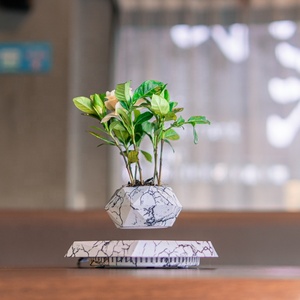 Vaso <span class=keywords><strong>Bonsai</strong></span> Magnetico Levitante <span class=keywords><strong>da</strong></span> <span class=keywords><strong>Interno</strong></span> per Grandi e Piccole Piante, Decorazione Verde per la Casa, Fioriera Sospesa <span class=keywords><strong>da</strong></span> Giardino - Product Image 5