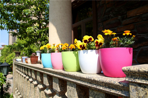 Jardinière de fleurs rond pour <span class=keywords><strong>d</strong></span>écor de jardin, Pot de stockage <span class=keywords><strong>d</strong></span>'<span class=keywords><strong>eau</strong></span> Simple, irrigation, à Absorption automatique, paresseux, 1/2 pièces, SQ31 - Product Image 2