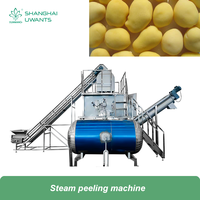 Industriële, hoog-efficiënte automatische stoomschiller voor de productielijn van frieten, 6000 kg/uur, voor aardappelverwerkingsbedrijven