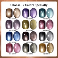 R S Nail 12 couleurs Automne et Hiver 3μm Gel œil de chat semi-permanent sans TPO sans HEMA Gel magnétique pour vernis à ongles