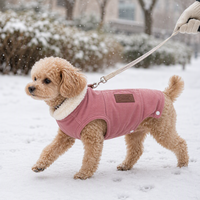 Gilet en polaire pour chien, vêtements chauds et épais doublés pour animaux de compagnie, vêtements pour Bichon Frise, Corgi, chat, automne-hiver
