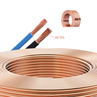 Cable Eléctrico de Cobre de un Solo Núcleo con Aislamiento de PVC, Resistente al Fuego, BV BVR BVV BLV H07V-U/R, 2.5mm-70mm, para Aplicaciones de Calefacción