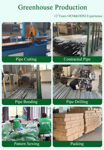 Serre tunnel portable grande taille 4x3x2 en PE pour la culture de fleurs et de plantes vertes - Product Image 2