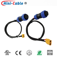 Câble adaptateur d'alimentation CC étanche personnalisé 16AWG SP21 à 2 broches mâle aviation vers XT60 femelle pour station d'alimentation portable