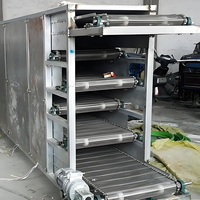 Automatische voedseldroger continue voedseldroger PLC-besturing roestvrij staal voor gedroogd fruit, groenten, vlees, voedsellijn