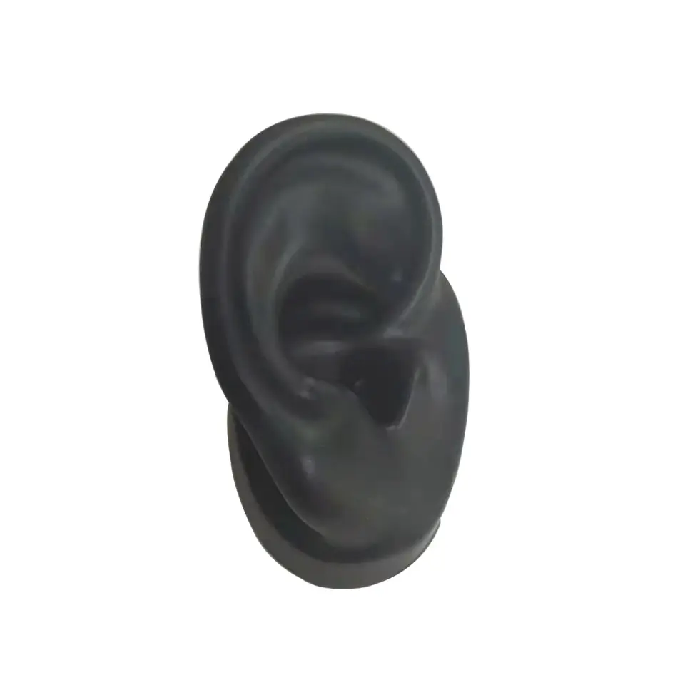 Natural Size Soft Silicone Non-toxic Simulation Ear Model