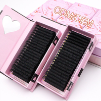 Extensions de cils individuels en velours noir mat, faits à la main, marque privée, courbures J B C CC D DD LJ LB LC LD, faciles à éventaillement