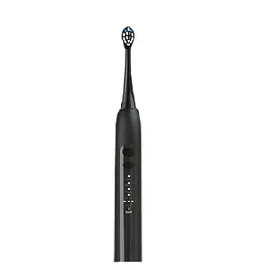 Cepillo de dientes eléctrico cargador inalámbrico con la cabeza del cepillo (2 pcs) y manejar (1 pc)